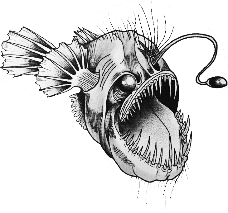angler fish black and white picture