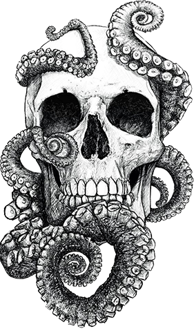 Octopus black and white picture